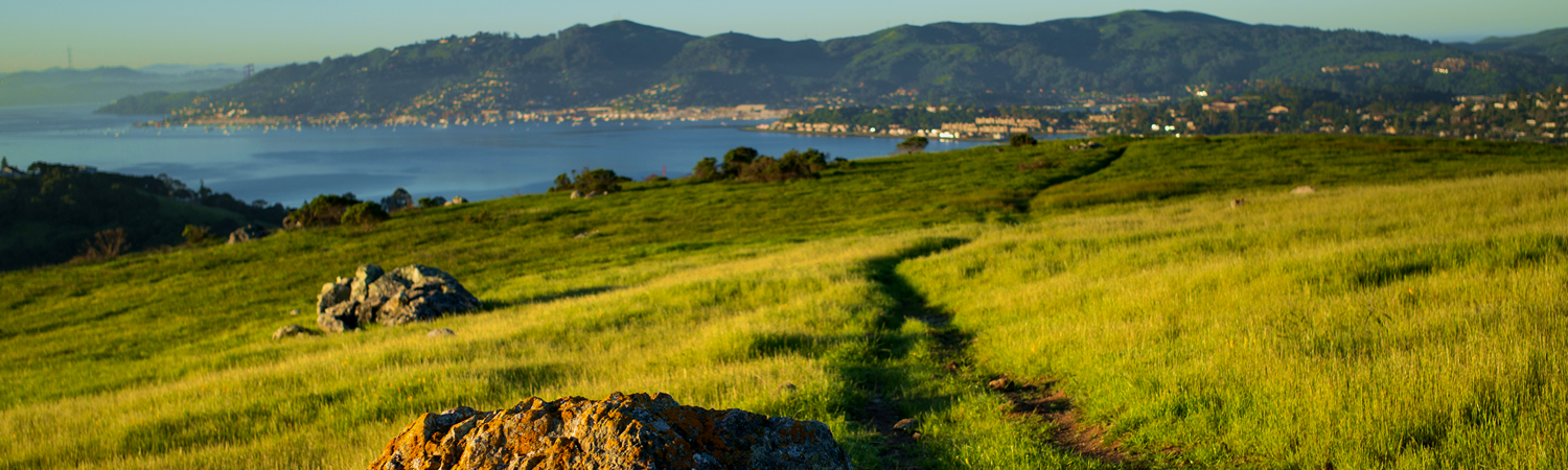 Banner image of Corte Madera