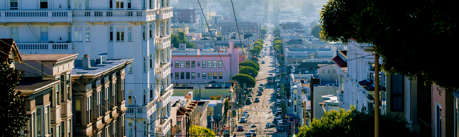 Banner image of Marina District